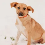 Nana 616093902342069