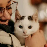 Kot do adopcji, Czartki, 27 grudnia 2023