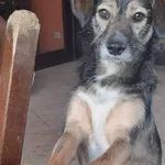 ‼️‼️zapomniana Lusia‼️‼️