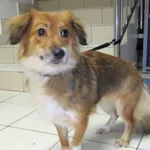 SUCZKA Z INTERWENCJI 01.01.2024