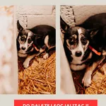 Pucek 616093902342048