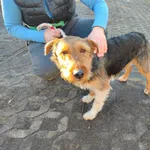 29.01.2024 - Prażmowskiego