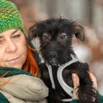 Pies do adopcji, Piła, 31 grudnia 2023