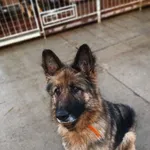 Tosia - wesoła, zakochana w człowieku ONka!