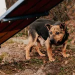 Ralf 616093902342097