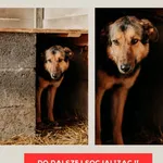 Zoey 616093902277410