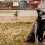 Dafne 616093902338490