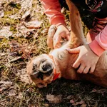 Snoopy 616093902779297