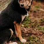 Klara 616093902338483