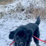 GW/192/23/23 Cichy - data przyjęcia - 14.11.2023