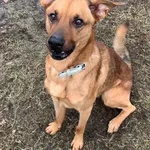 12791/5/24 -Dante  data przyjęcia - 08.01.2024