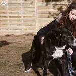 Pies do adopcji, Dąbrówka, 4 marca 2022