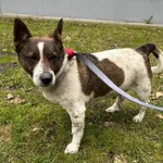 12833/47/24 Voldi  - data przyjęcia - 14.03.2024