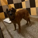 12842/56/24 - data przyjęcia - 26.03.2024