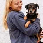 Pies do adopcji, Elbląg, 27 marca 2024