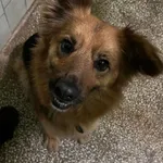 12844/58/24 - data przyjęcia - 27.03.2024