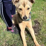 12843/57/24 Olo - data przyjęcia - 27.03.2024