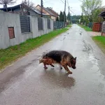 Znaleziona w Fugasówce 