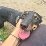 Wazka - ur.ok. 28.12.2019