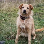 Szybcior - ur.ok. 17.02.2019