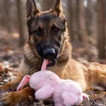 Radar - ur. ok. 19.07.2021r.