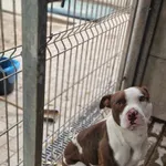 Wietnam - ur.ok.. 28.09.2021