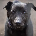 Kabanos - ur.ok 28.08.2012