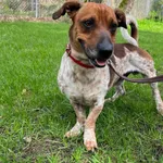 GW/199/6/24 Don -  data przyjęcia - 09.04.2024