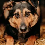 Benek 616093902519738