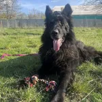 Byron - ur.ok. 05.04.2019