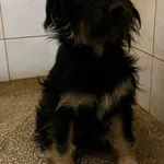 12869/83/24 Olek data przyjęcia - 23.04.2024