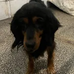 12870/84/24 Buba data przyjęcia - 23.04.2024