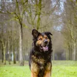 21.02.2024 - Gródecka