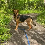 Doda - ur.ok. 31.01.2021