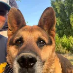 Oddam psa, Warszawa, 15 maja 2024