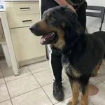 09.04.2024 - Kozienicka