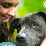Pies do adopcji, Dąbrówka, 21 maja 2024
