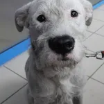 ZNALEZIONY 29.05.2025.