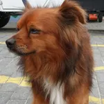 INTERWENCJA 29.05.2024.