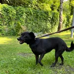 12897/111/24 Emi -  data przyjęcia - 04.06.2024