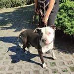 28.05.2024- Słowackiego