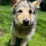 GW/205/12/24 Miki  data przyjęcia - 19.06.2024