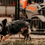 Sprytka 616093902511194