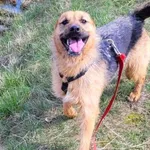 Prima (5757), Samica