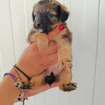 Śmietanka rezerwacja