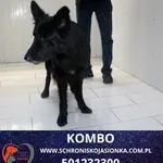 Kombo