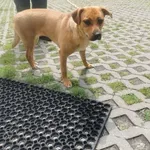 19.06.2024 - Klwatecka