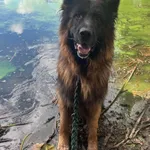 GW/209/16/24 Hasan- data przyjęcia - 23.07.2024 przebywa w domu tymczasowym