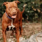 Bajka 616093902778295