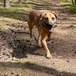 GW/214/21/24 Lucky -   data przyjęcia -27.08.2024